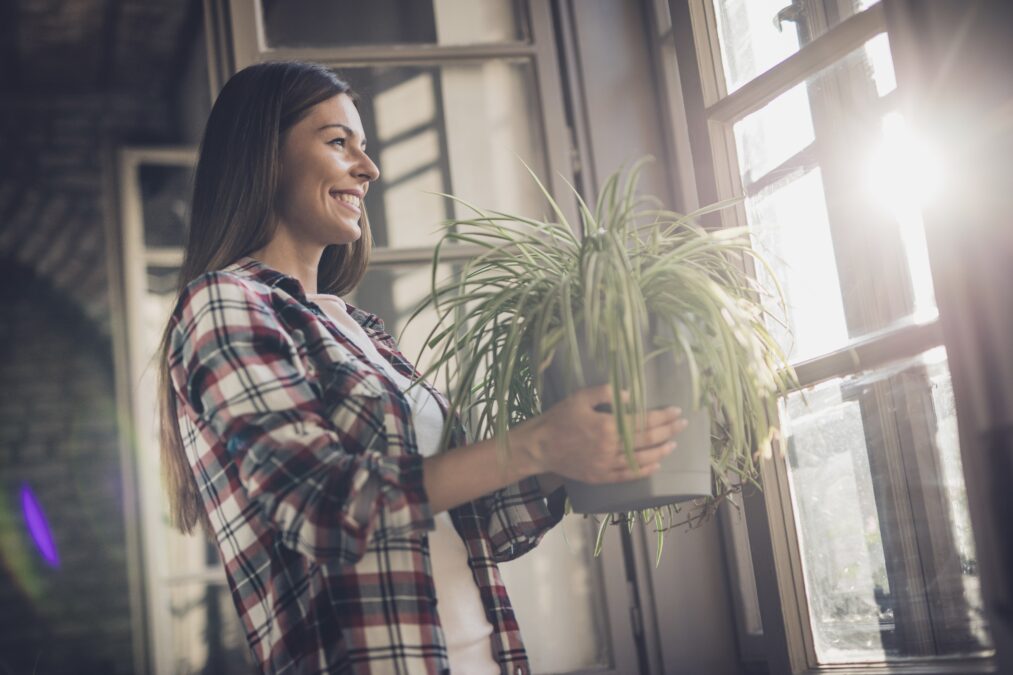 Femme souriante, transportant une plante vers une fenêtre alors que la lumière du soleil se répand dans la pièce