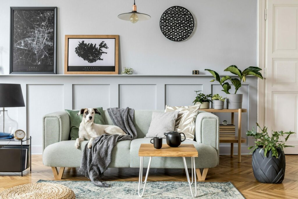 Salon au look moderne garni de plantes d’intérieur et chien assis sur le canapé
