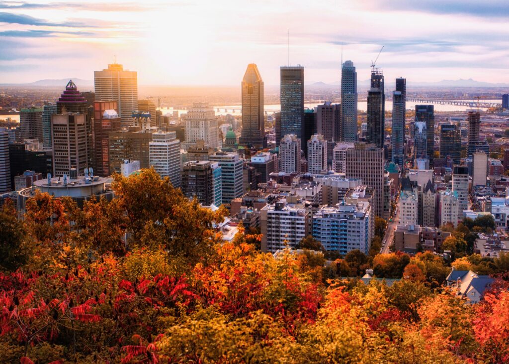 Le centre-ville de Montréal sous les feuilles et la lumière dorée de l’automne