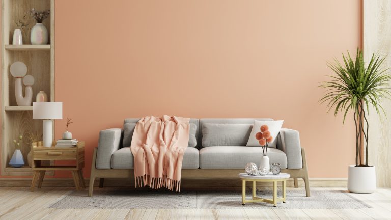 Salon en tendance peach fuzz color 2024 year.canapé gris avec peinture murale couleur pêche.