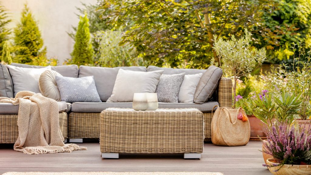 Soleil matinal sur une terrasse moderne avec des plantes d'automne