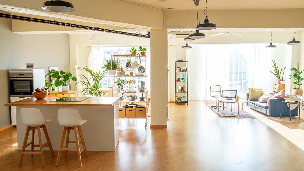 A modern open concept apartment during the day