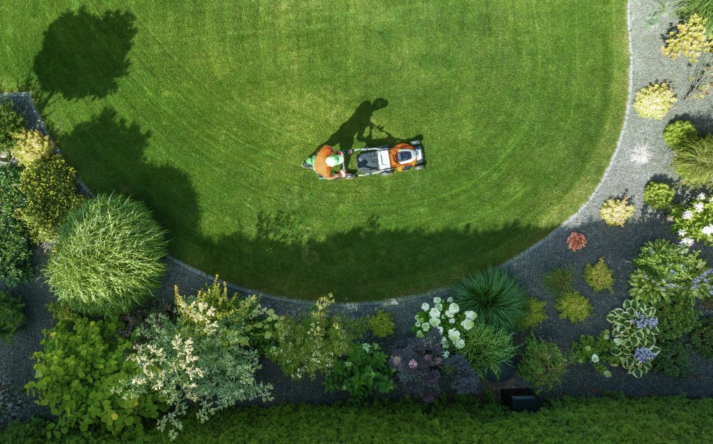 Une personne tond une pelouse bien entretenue, entourée de plantes et de fleurs colorées dans une cour résidentielle.