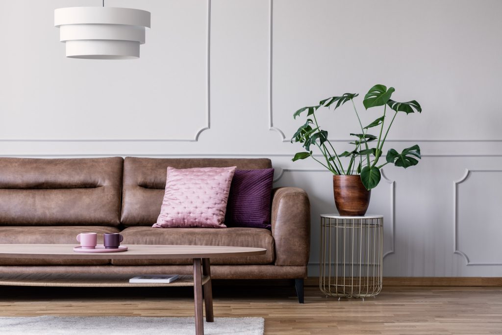 Salon moderne avec canapé en cuir et plante