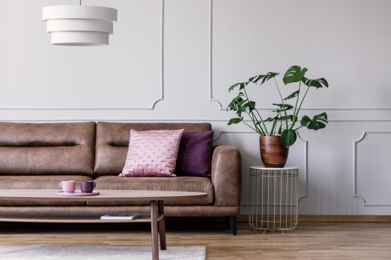 Salon moderne avec canapé en cuir et plante