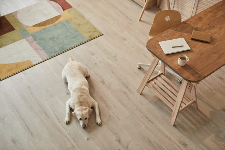 Une vue en plongée aux tons chauds d’un Labrador blanc couché sur le sol et attendant son propriétaire dans l’intérieur d’une maison moderne, espace de texte.