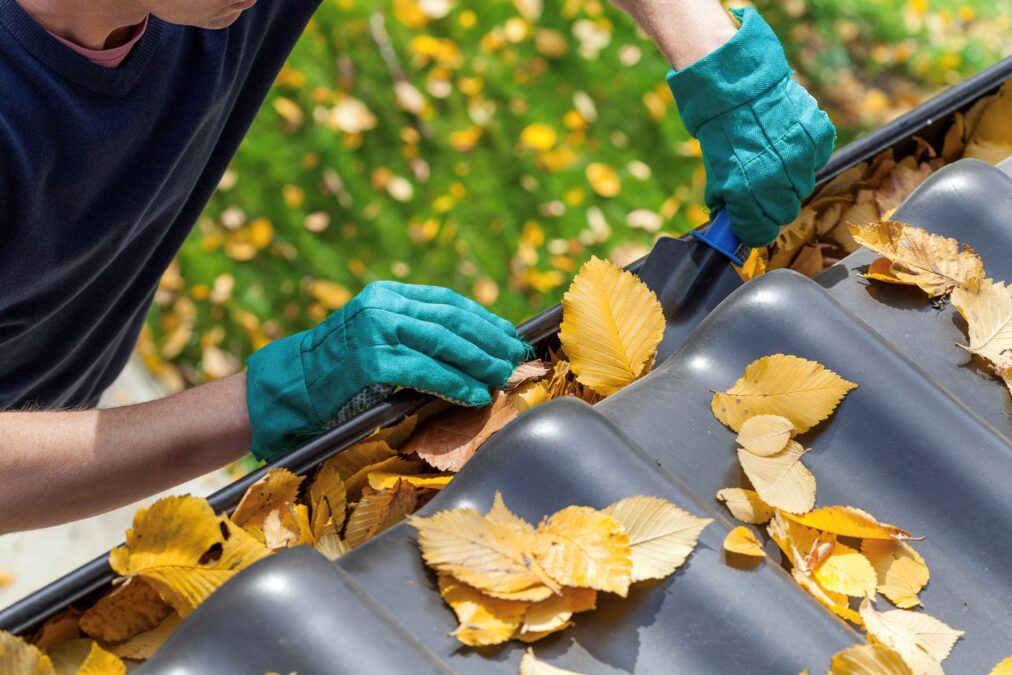 Un homme portant des gants de travail verts vide les gouttières du toit des feuilles.